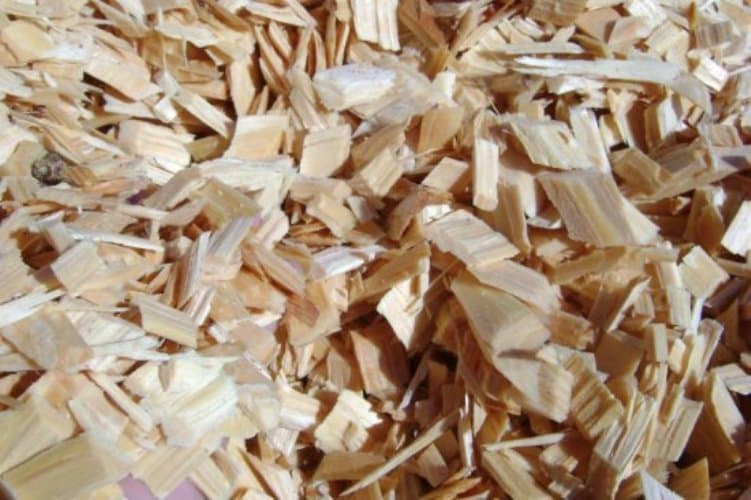 Eucalyptus Wood Chips for Paper Pulp